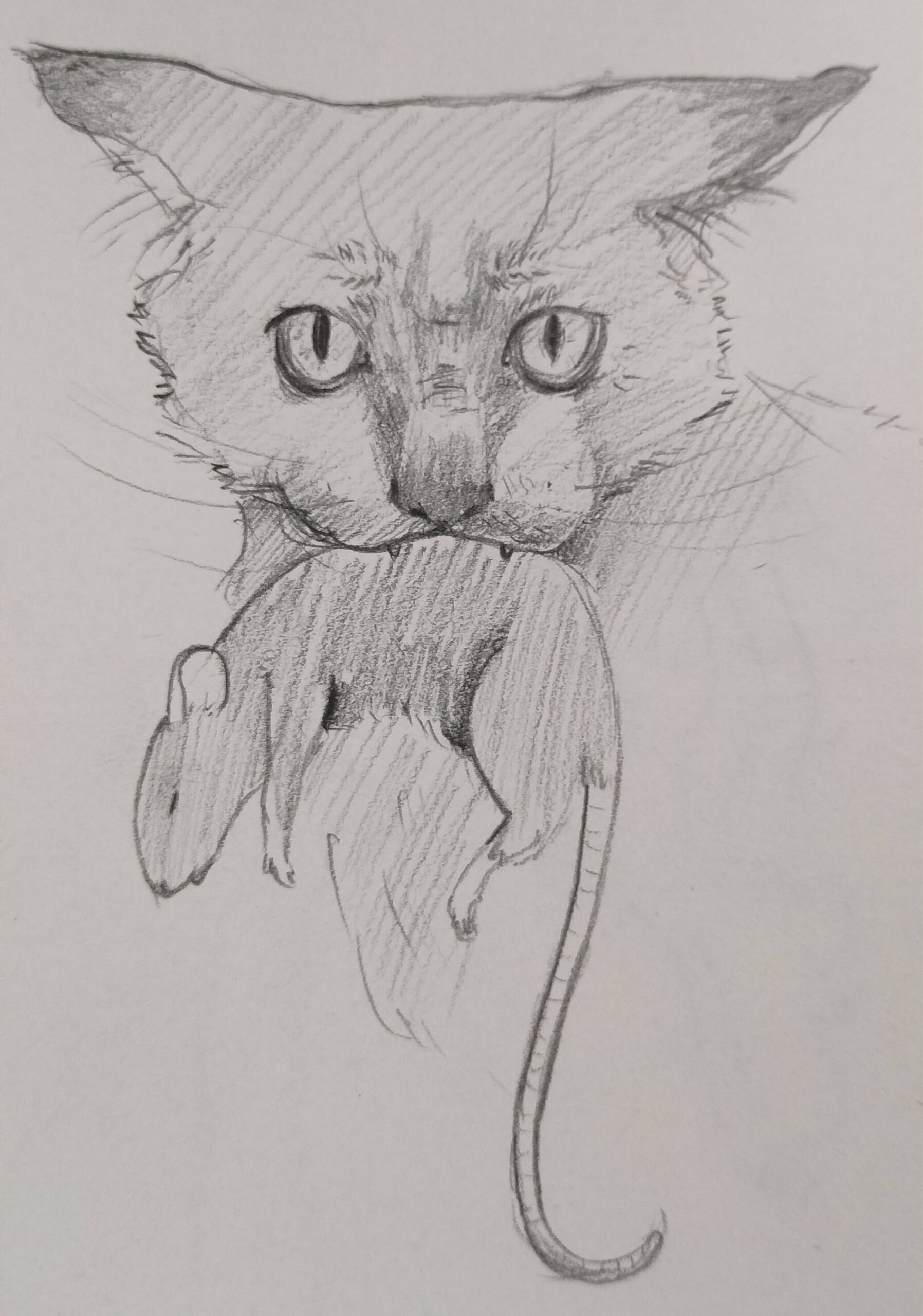 untitled – bored at work… drew a cat.